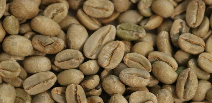 Ethiopian unroasted coffee beans