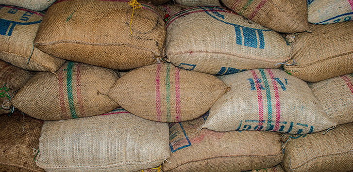 CBC Guide: Congo Coffee