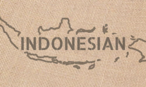 Green coffee beans indonesia