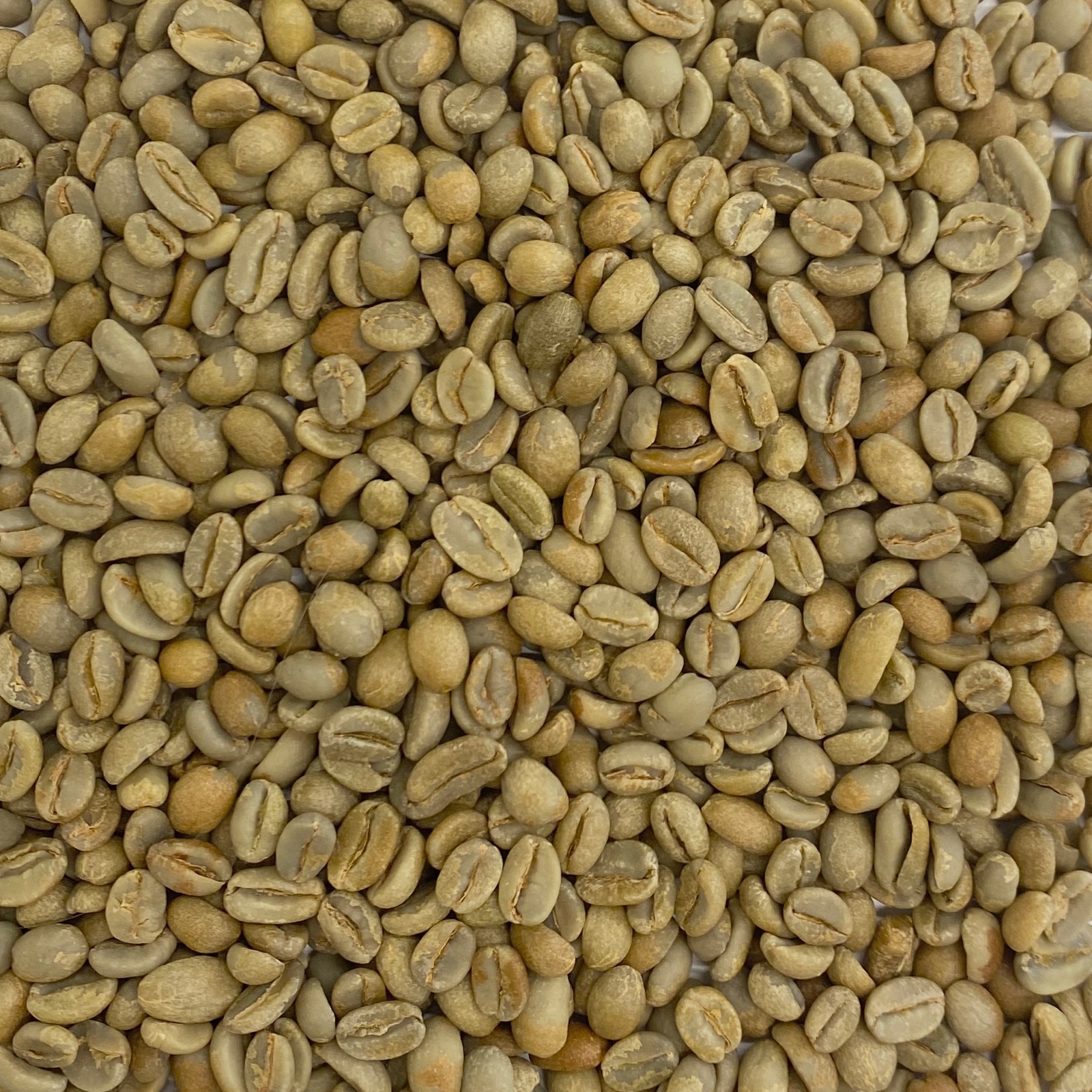 raw ethiopian coffee beans