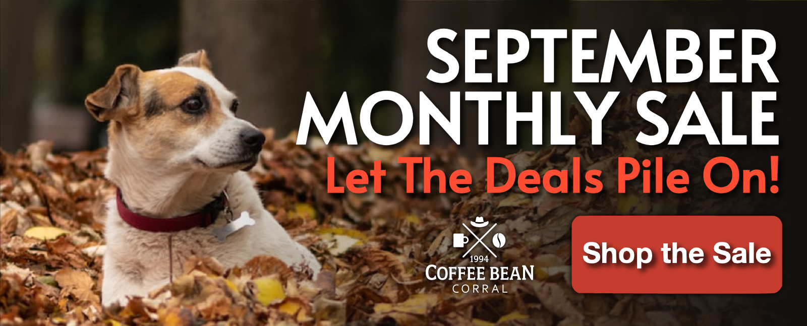 September Monthly Sale