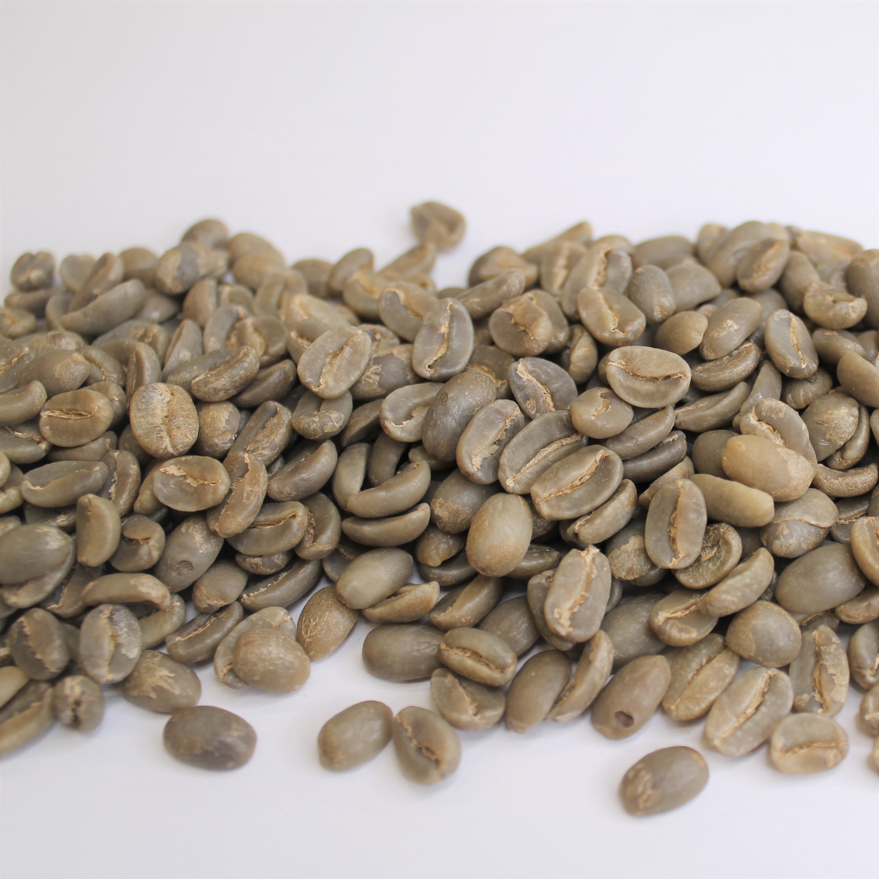 Haiti High Elevation Baptiste Coffee Bean Corral