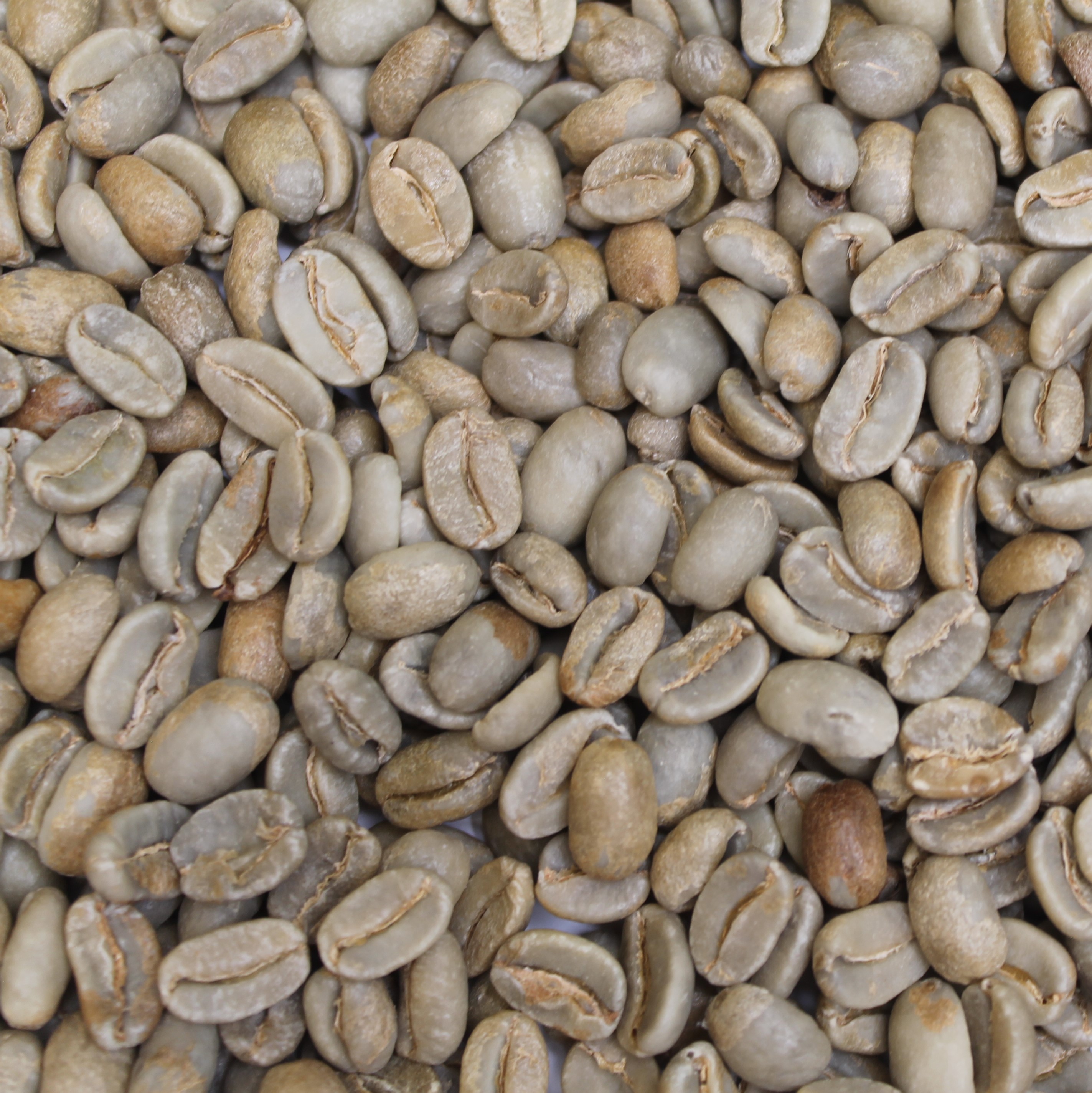 Papua New Guinea Organic Korofeigu AX PNGORGKOROFEIGU