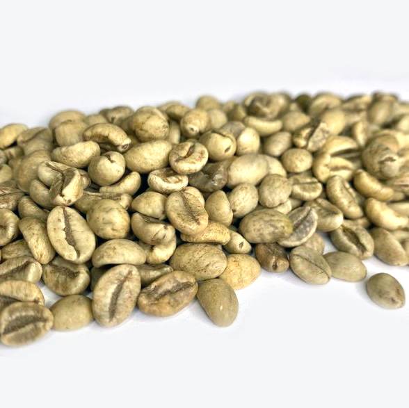 Vietnam Robusta Washed