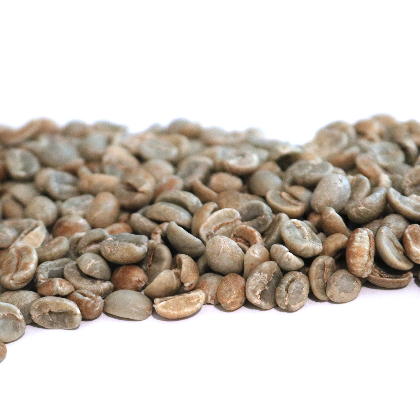 Honduras Organic - Marcala HONORGMARC