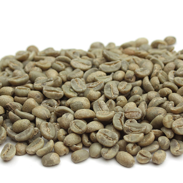 Fair Trade Green Coffee Beans Coffee Bean Corral