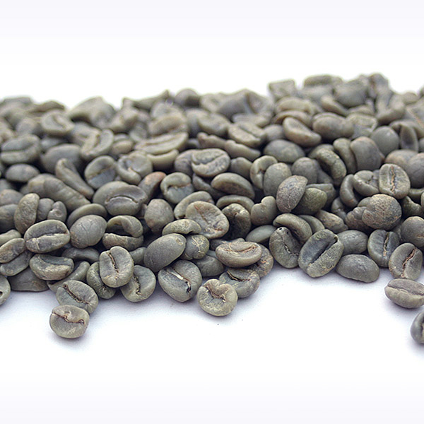 Costa Rica Tres Rios - La Magnolia SHB CRTR-LAMAG