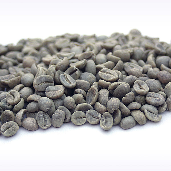 Costa Rica Hacienda Rio Negro Coto Brus