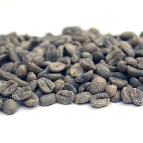 Haitian Blue Organic HAITBLUEORG