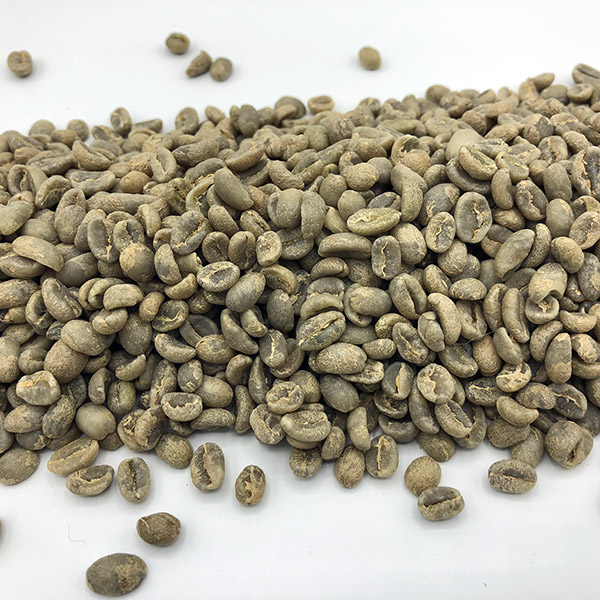African Green Coffee Beans Coffee Bean Corral