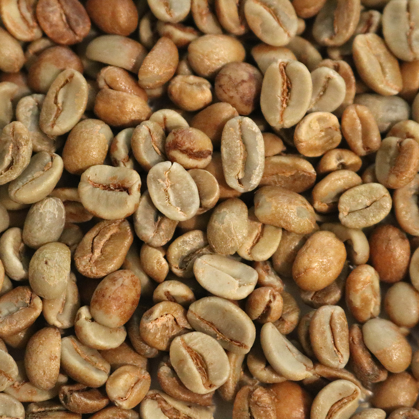 Honduras Organic Marcala Natural HON18ORGNAT