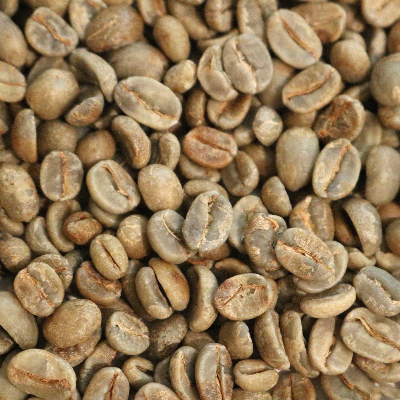 Honduras Organic Marcala Black Honey