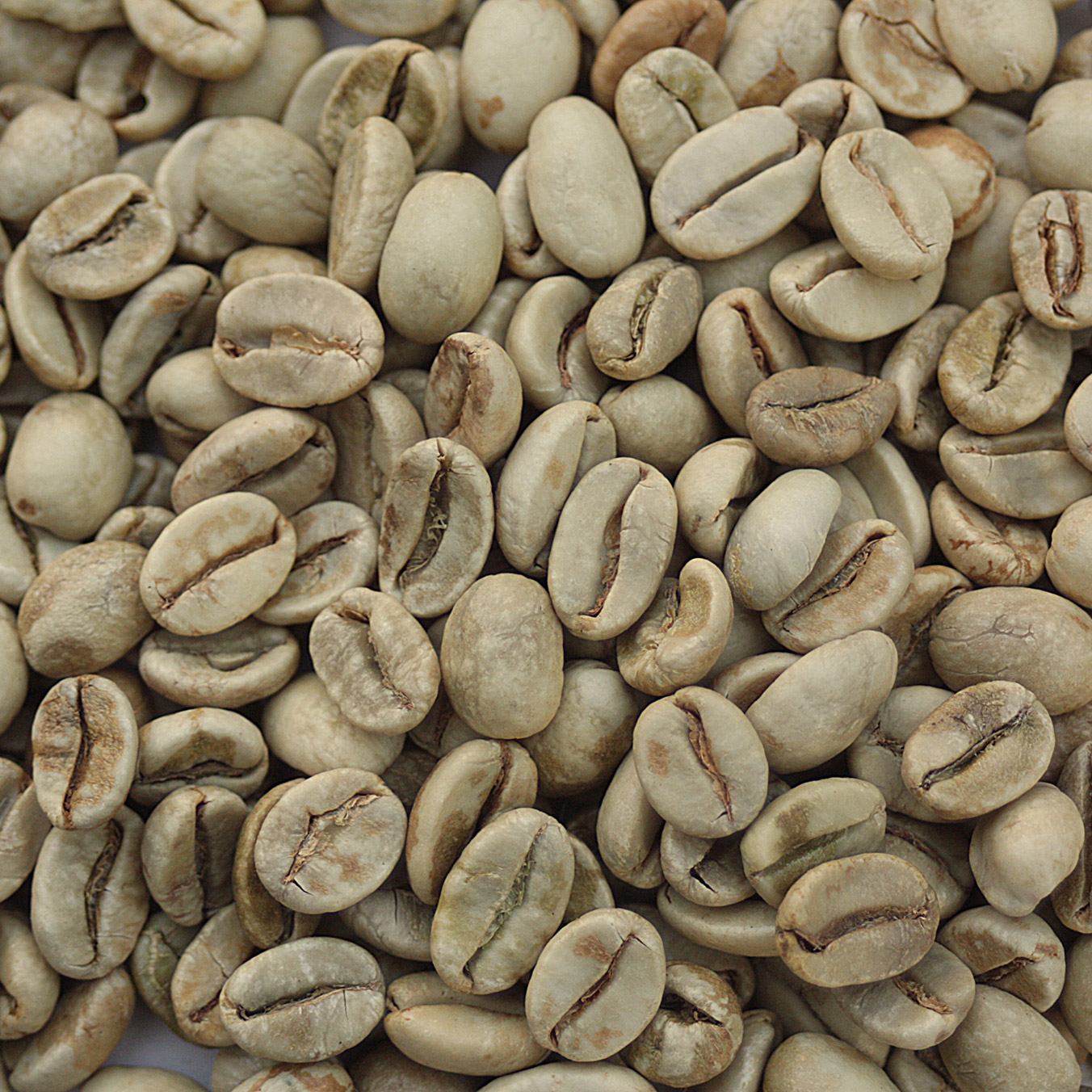 Indian Monsooned Malabar IndMal