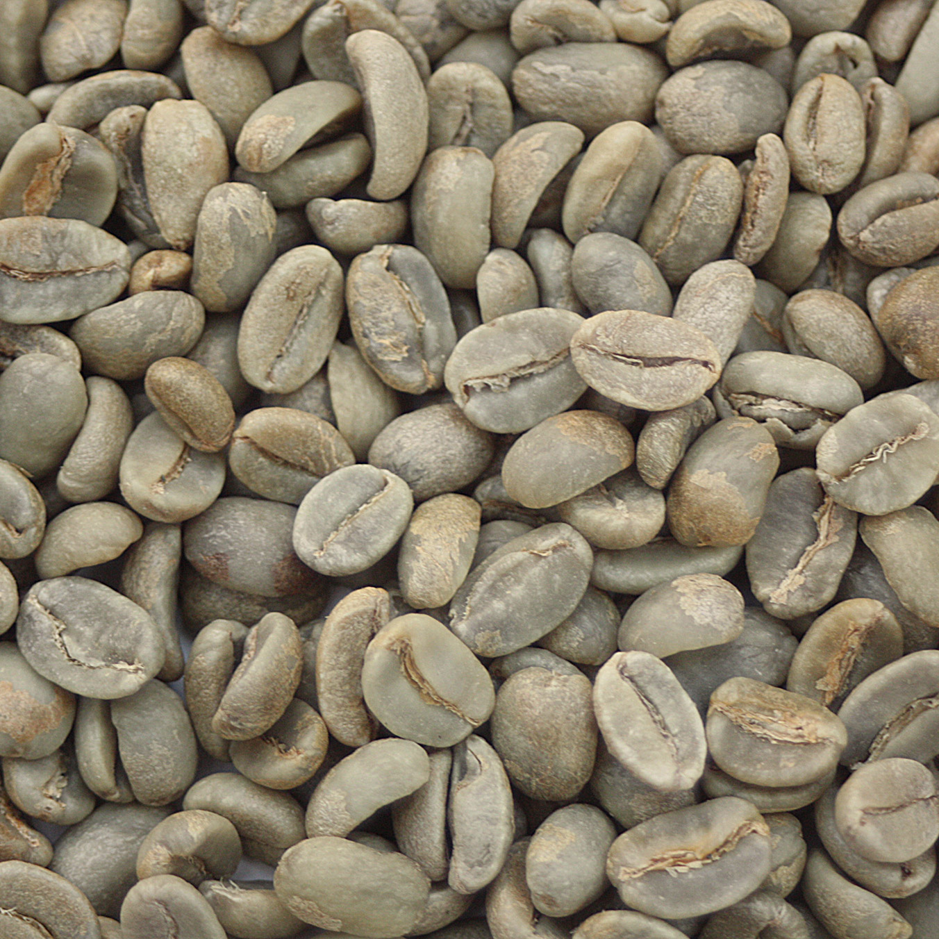 Papua New Guinea Purosa AX Organic