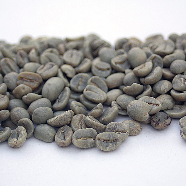 Indian Mysore 'Extra Bold' Nuggets IndMysore
