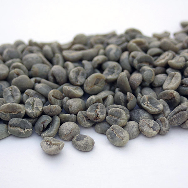 Kenyan AA Select Plus