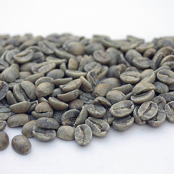Hawaiian Green Coffee Beans Coffee Bean Corral