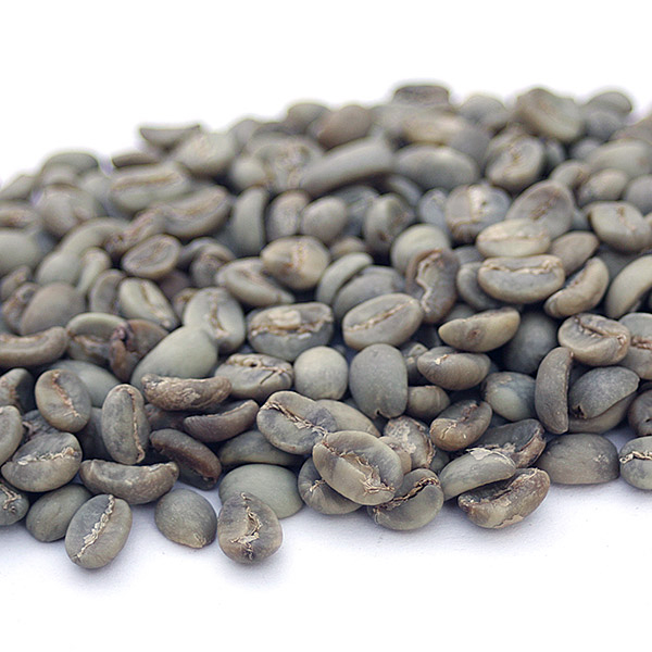 Sulawesi Kalossi SULAKALOSSI