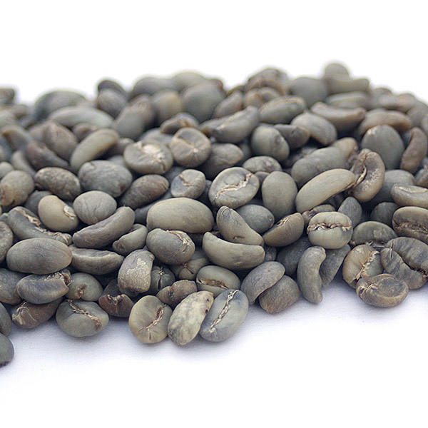 Sulawesi Toraja SulaTor