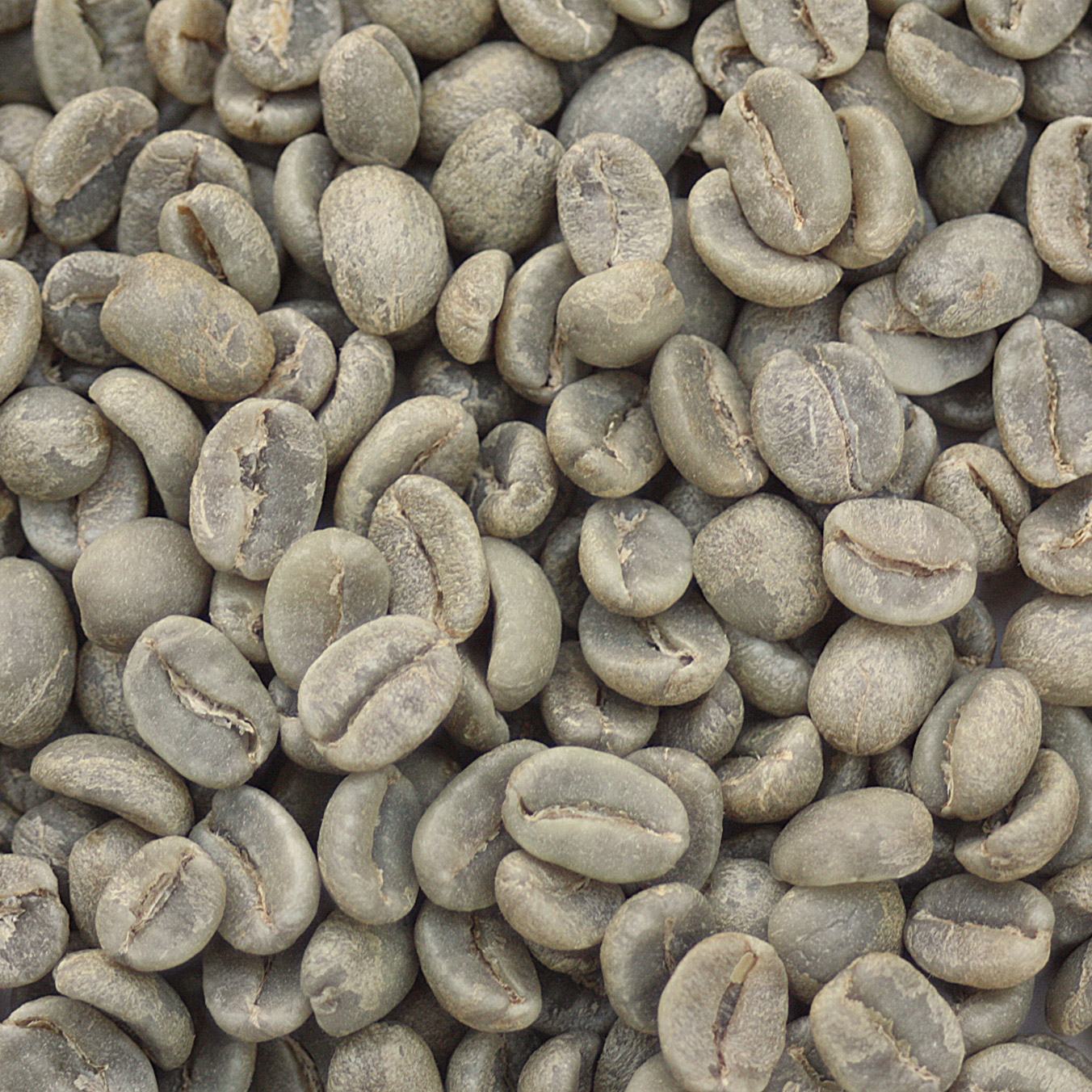 Guatemala Huehuetenango SHB GUATHHTSB
