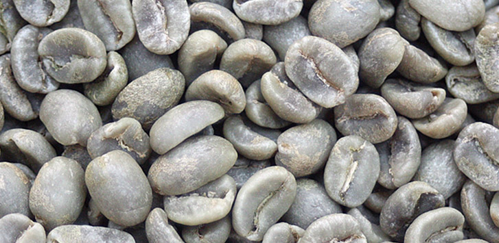Costa Rican unroasted coffee beans