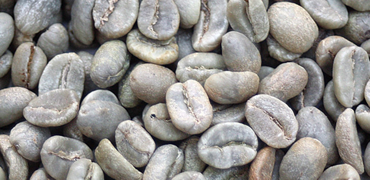 Colombian unroasted coffee beans