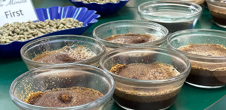 Coffee cupping
