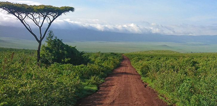 CBC Guide: Tanzanian Coffee