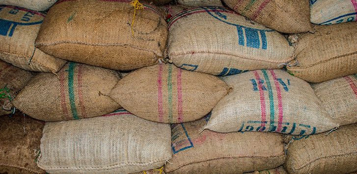 CBC Guide: Kenyan Coffee