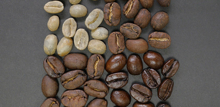 Can you make your own coffee beans?