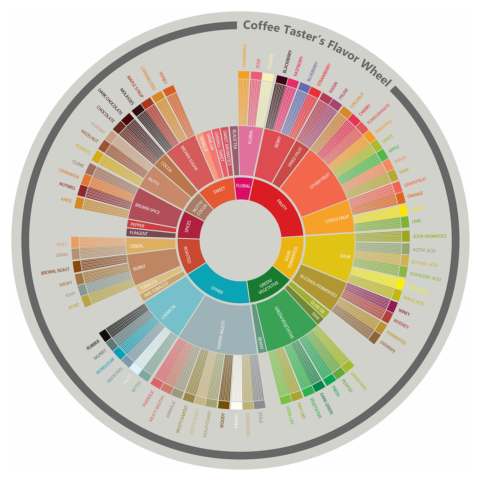 Coffee flavor wheel