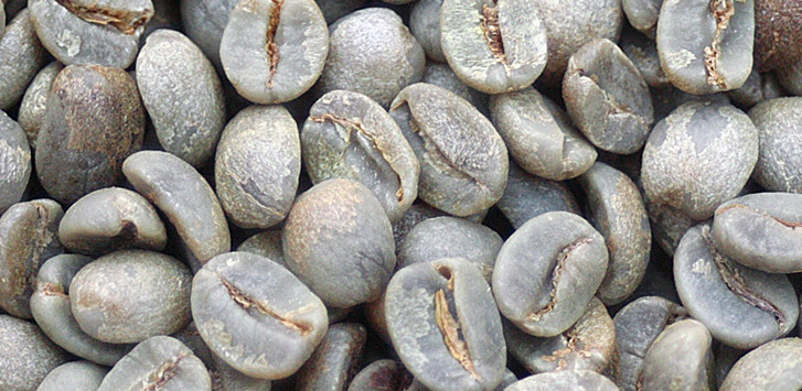 Coffee Beans Corral's Best Selling Green Coffee Beans for 2021