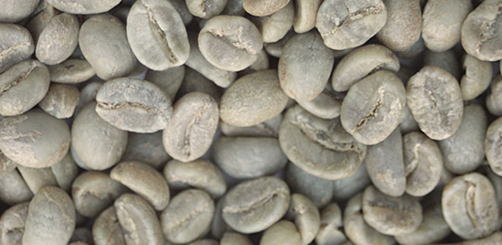 Colombian unroasted coffee beans