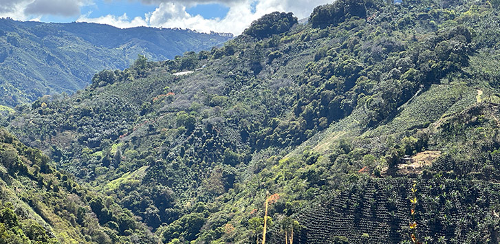 From Mississippi to Costa Rica: What We Learned While Visiting the La Minita Coffee Farm
