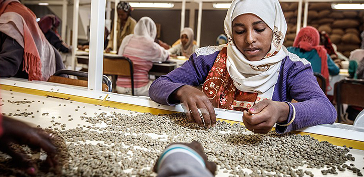 CBC Guide: Ethiopia Coffee