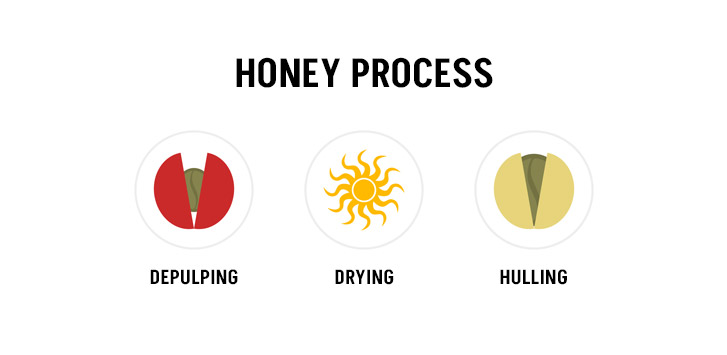 Honey process