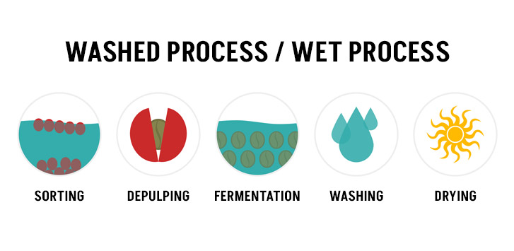 Washed process versus wet process