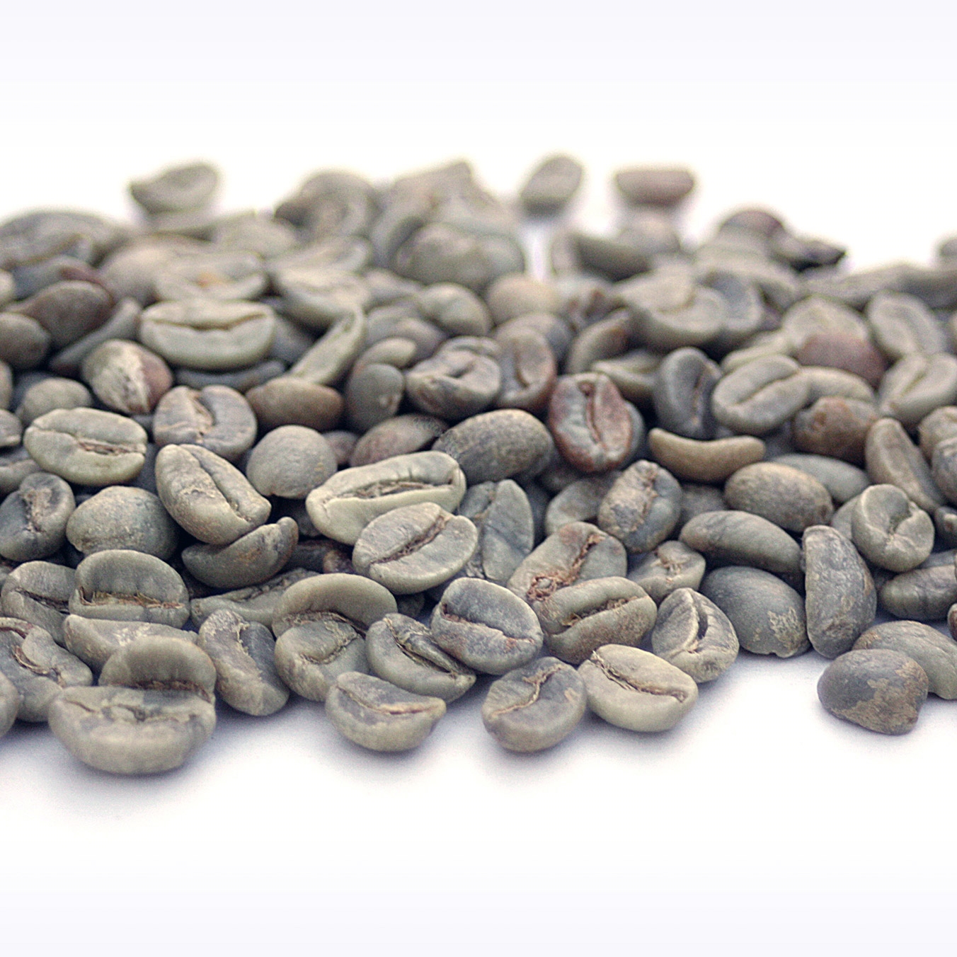 bulk coffee beans 50 lbs orendorfftanner