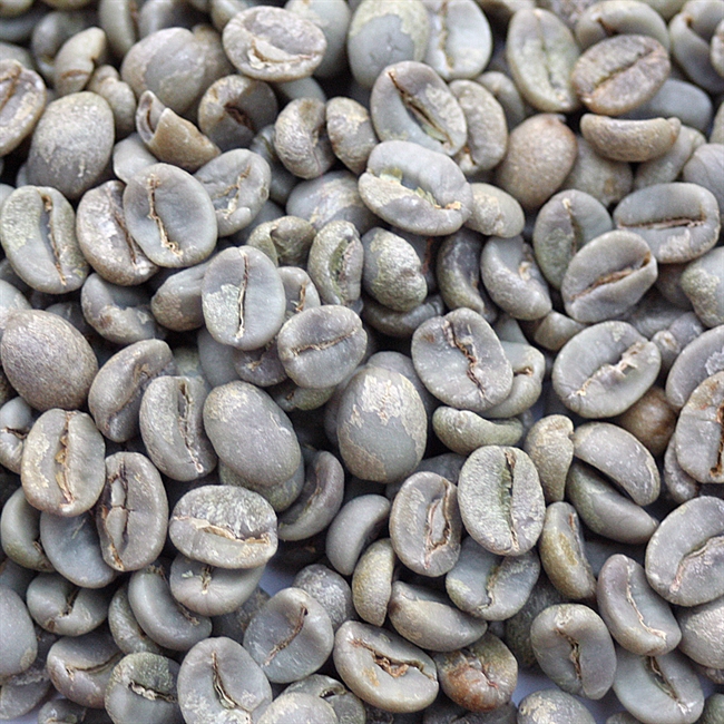 Brazil Sweet Blue Daterra Estate Copy DATBLUE