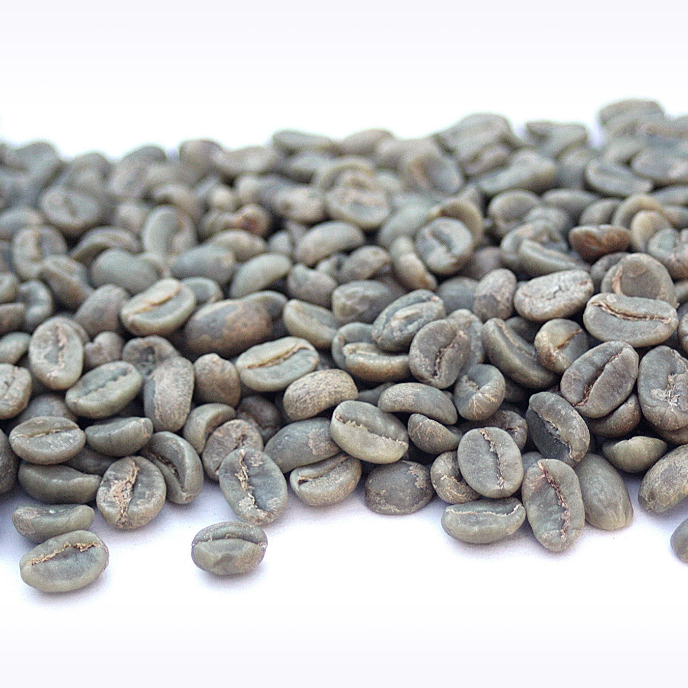 boom Ugandan Mount Elgon Arabicas 6Kg £36 free P+P correct price coffee at last 