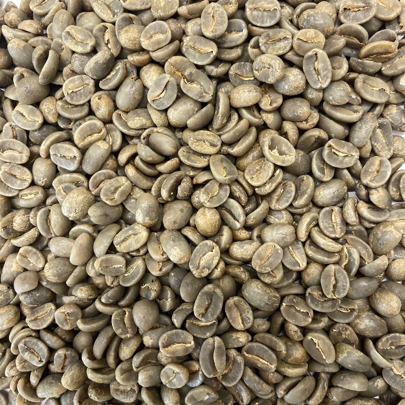 Kona Green Coffee Beans Coffee Bean Corral