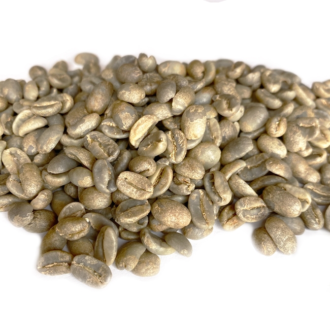 colombian green coffee beans