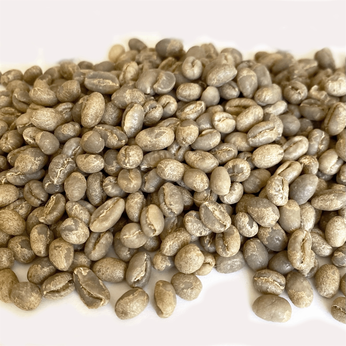 Kenya Peaberry Plus 15/16 Green Coffee Beans Coffee Bean Corral