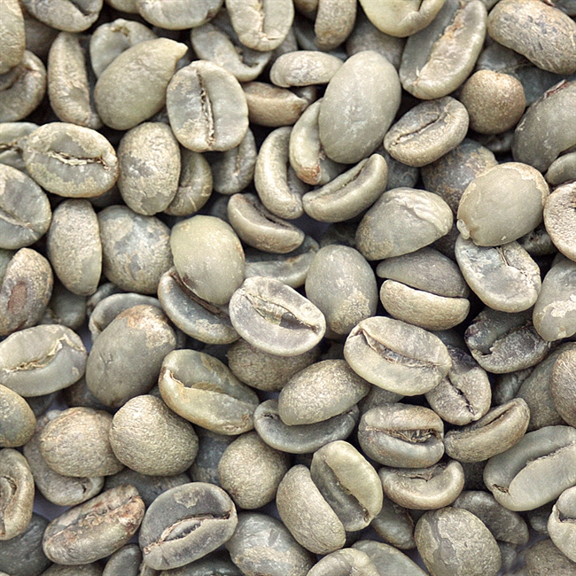 Dominican Republic Ramirez Estate DOMRAMZORG
