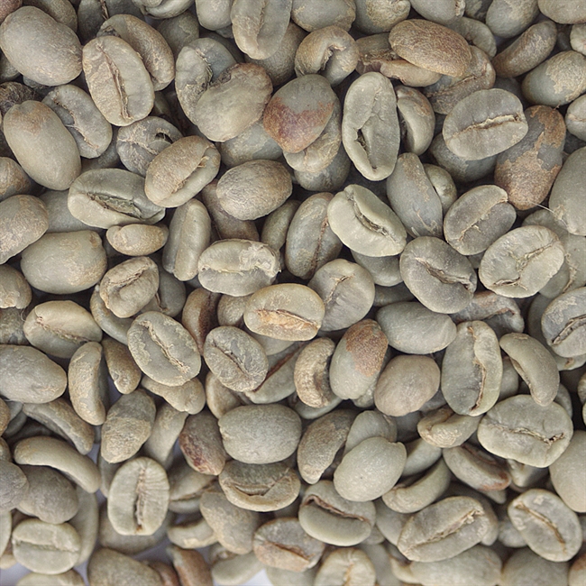 Mexican Organic - Chiapas - FT MEXORGCHIAPAS