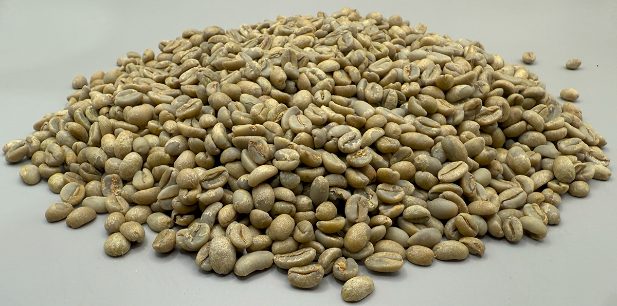 Ethiopia Gedeb Worka Sakaro Washed GR1