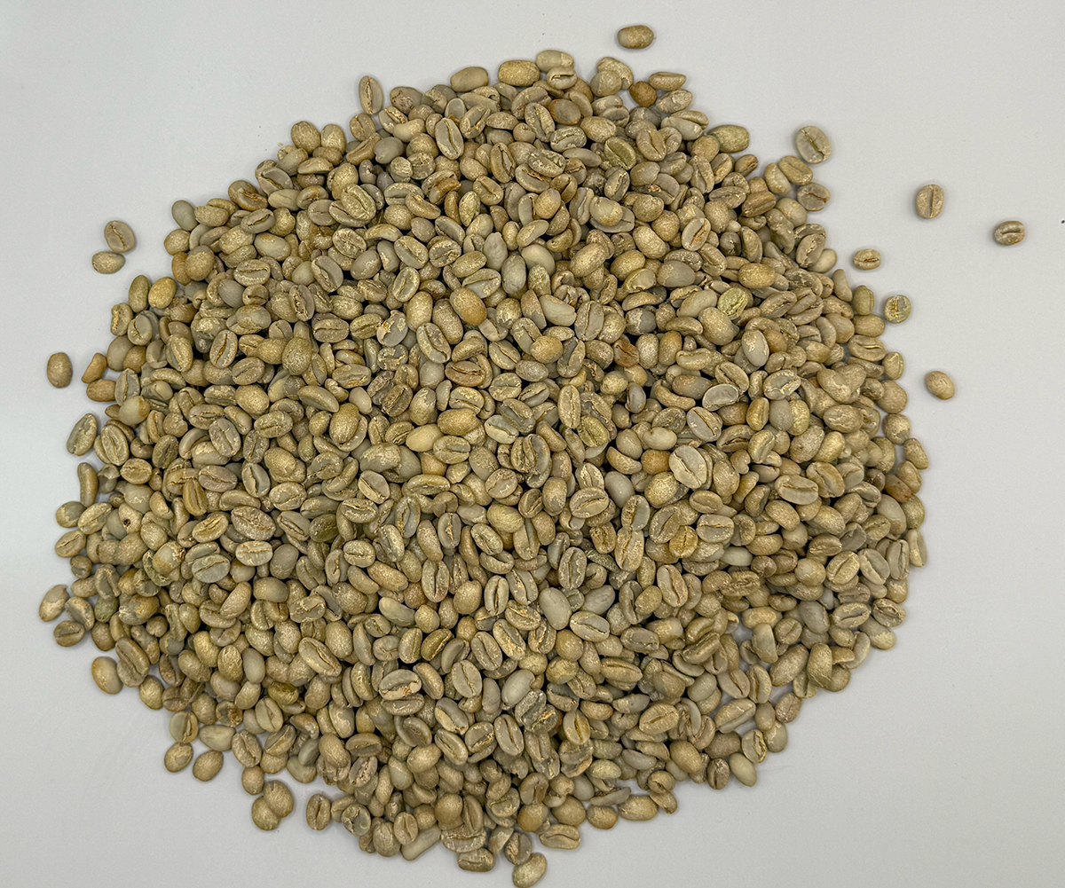 Ethiopia: Gedeb Worka Sakaro G1, Yirgacheffe