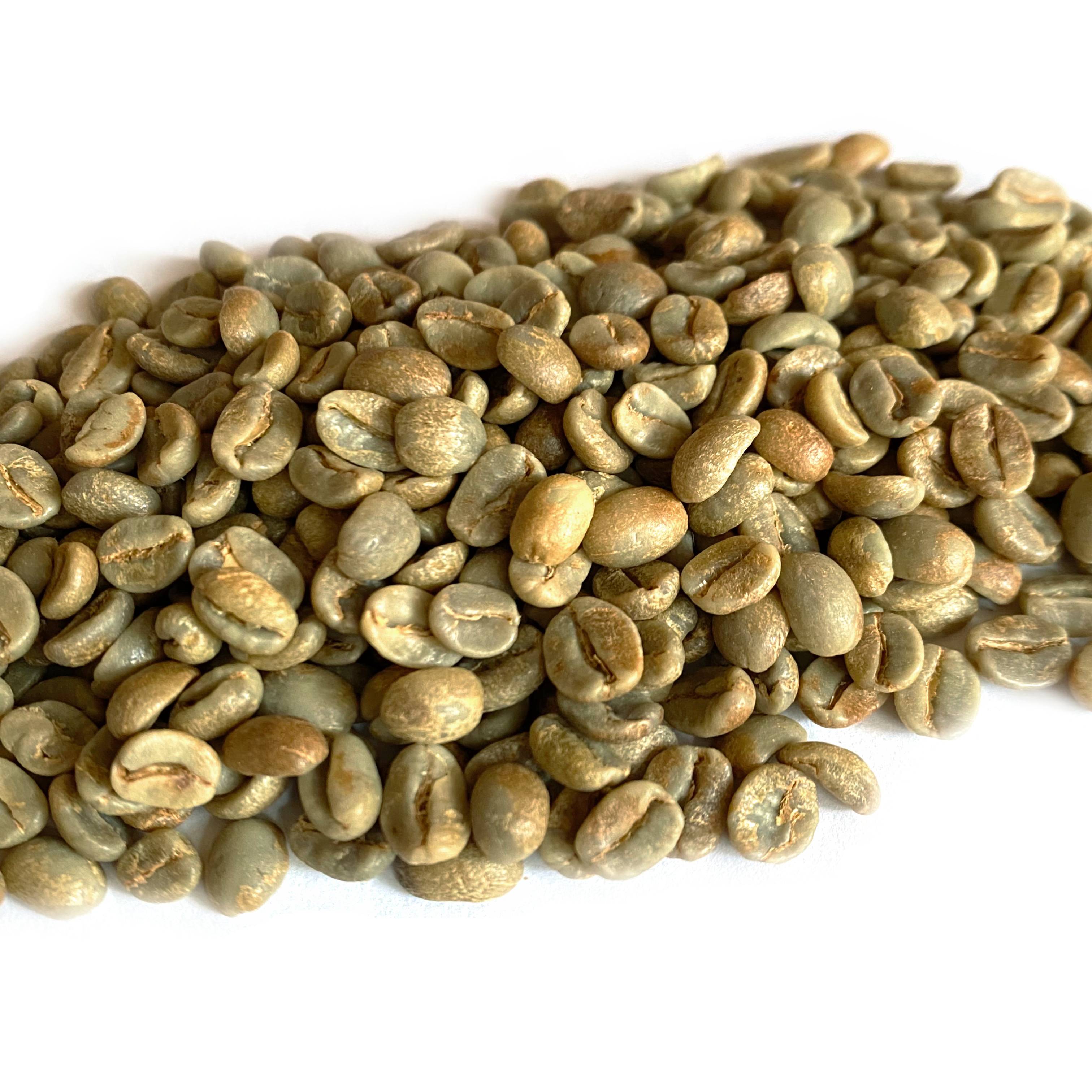 Honduras Organic 18 Rabbit Yellow Honey Process