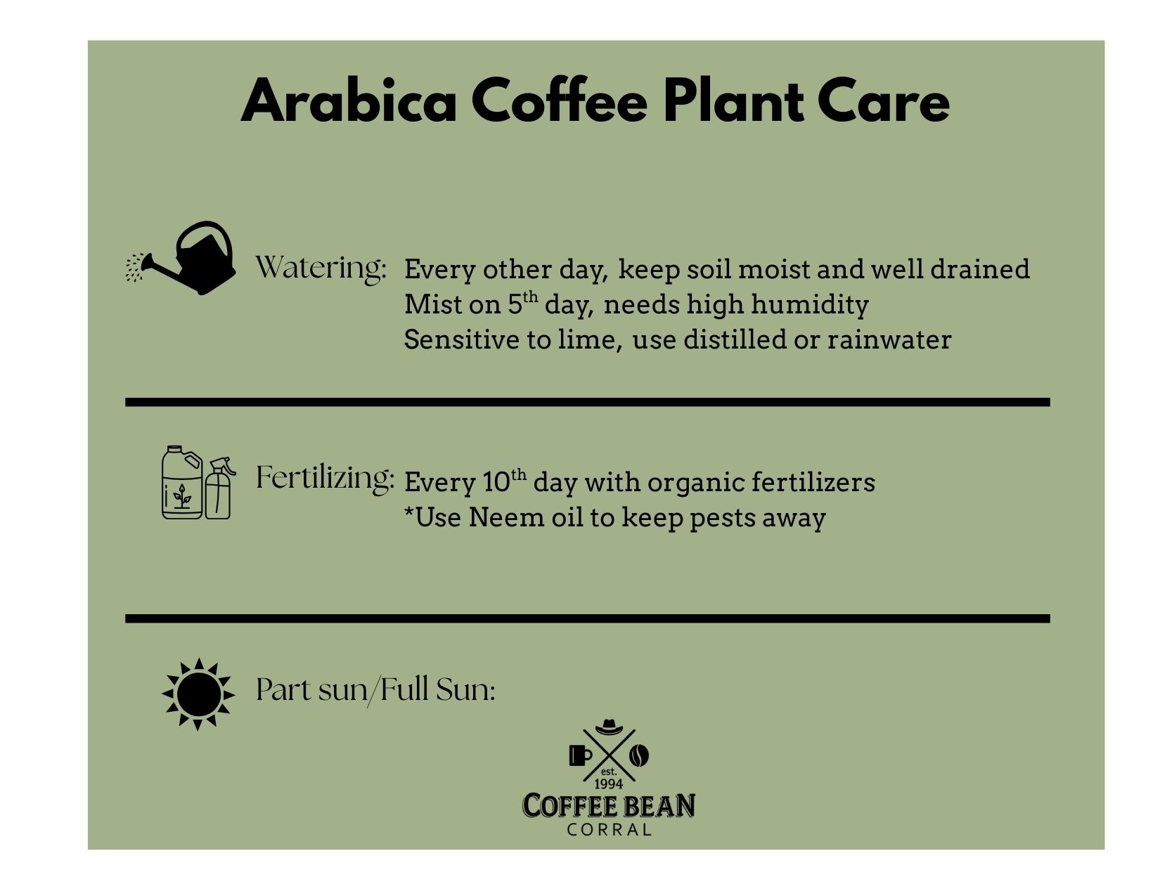 coffee plant care directions