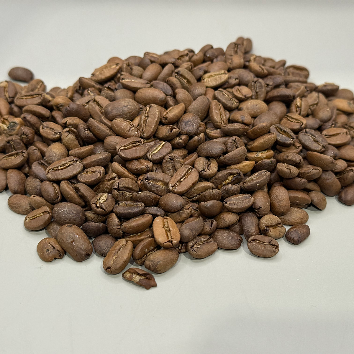Medium-roasted Dominican Republic Red Honey coffee beans with even brown color and smooth matte surface